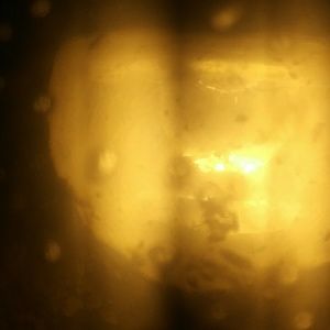 Meet your Posher, Cole